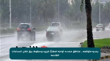 رعدية متوقعة.. مناطق محددة تواجه أمطارًا غزيرة وسقوط برق خلال الساعات القادمة